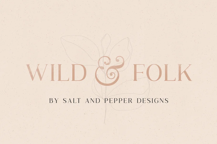 Wild And Folk Serif Font